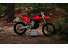 07062025 1233 starkvarg mx red 001