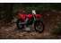 07062025 1233 starkvarg mx red 002