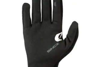 Glove Winter 4