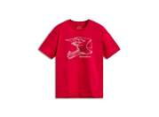 280125 1618 alpstar mx helm red 007