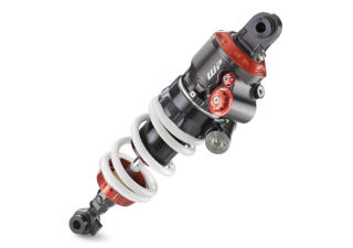 Convert 1200 Wx1200 H PHO NMON A719 C423 Y413220 WP APEX PRO Shock 12349 SALL AWSG V1