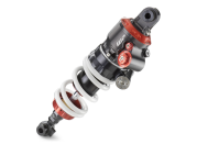 Convert 1200 Wx1200 H PHO NMON A719 C423 Y413220 WP APEX PRO Shock 12349 SALL AWSG V1