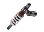 Convert 1200 Wx1200 H PHO NMON 15180 R81 SET APEX PRO 6746 Shock absorber SALL AWSG V2