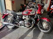 Triumph T100