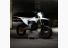 Stark Varg SM 2026 10 26 White 02