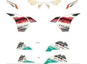 Pho pp nmon 90208999000 graphics kit race sall awsg v1