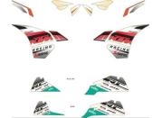 Pho pp nmon 90208999000 graphics kit race sall awsg v1