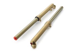 Pho gg pp nmon bt20000gg ckr 1 fork sall awsg v1