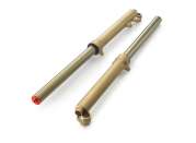 Pho gg pp nmon bt20000gg ckr 1 fork sall awsg v1