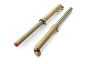 Pho gg pp nmon bt20000gg ckr 1 fork sall awsg v1