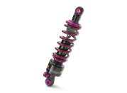 Pho gg pp nmon bt30000gg dbd 1 reiger shock sall awsg v1