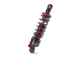 Pho gg pp nmon bt30000gg dbd 1 reiger shock sall awsg v1