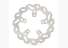 Pho pp nmon 61710960000 wave brake disc sall awsg v1