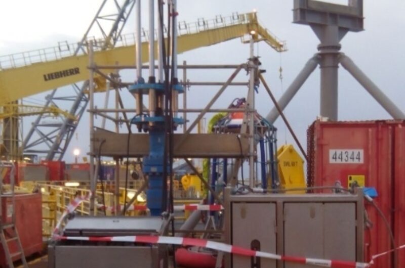 SIS Tree Repair Case Study resize