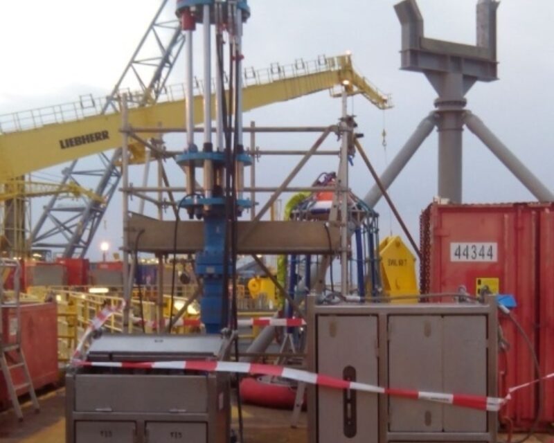 SIS Tree Repair Case Study resize