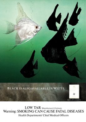 Issue 164 — Back cover