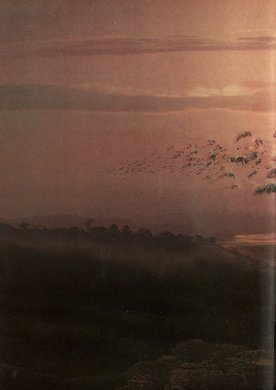 Issue 262 — Page 26