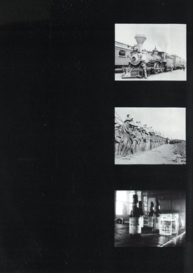 Issue 386 — Page 14