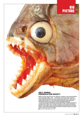 Issue 710 — Page 11