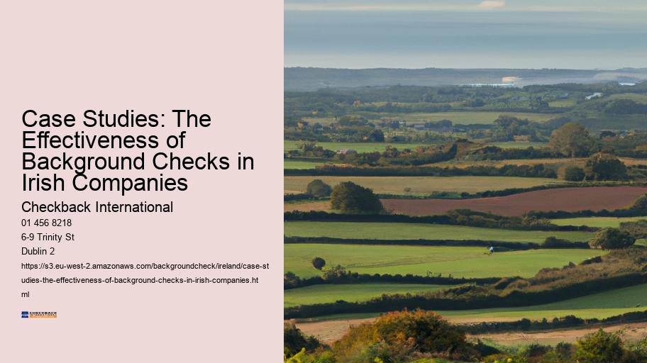 Case Studies: The Effectiveness of Background Checks in Irish Companies