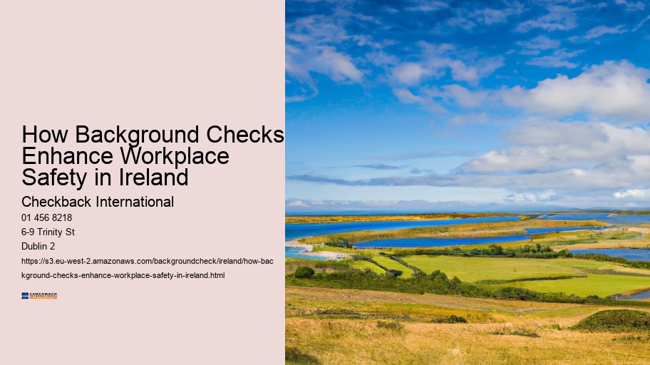 How Background Checks Enhance Workplace Safety in Ireland