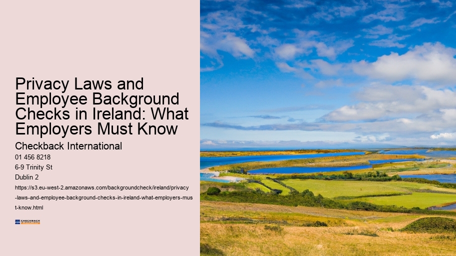 Privacy Laws and Employee Background Checks in Ireland: What Employers Must Know