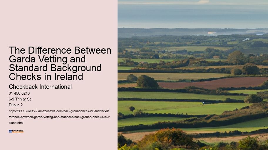 The Difference Between Garda Vetting and Standard Background Checks in Ireland