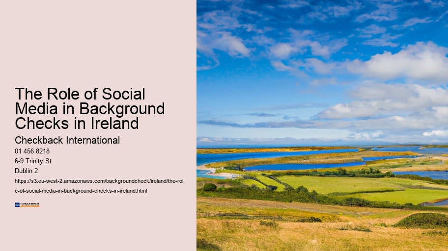 The Role of Social Media in Background Checks in Ireland