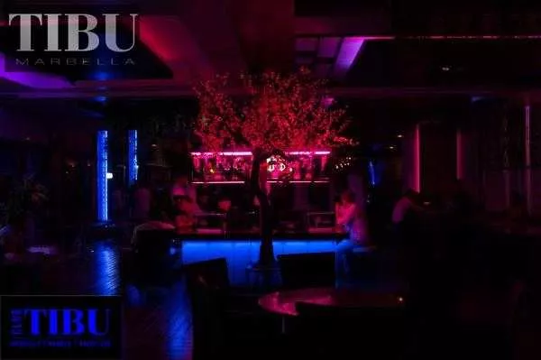 Interior of TIBU nightclub in Puerto Ban&uacute;s, Marbella, with neon lighting and a lively crowd