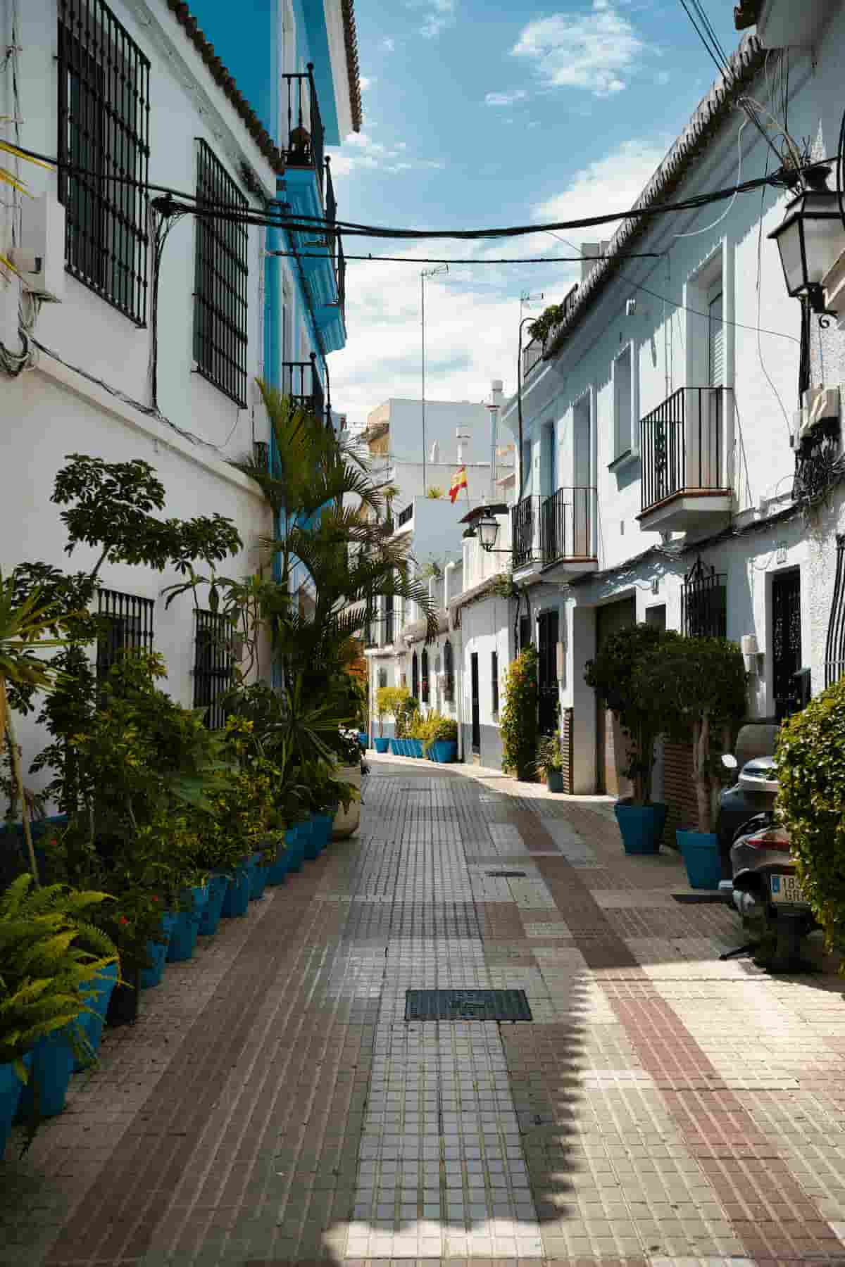 Narrow whitewashed street in Marbella's Old Town lined with palm trees and potted plants