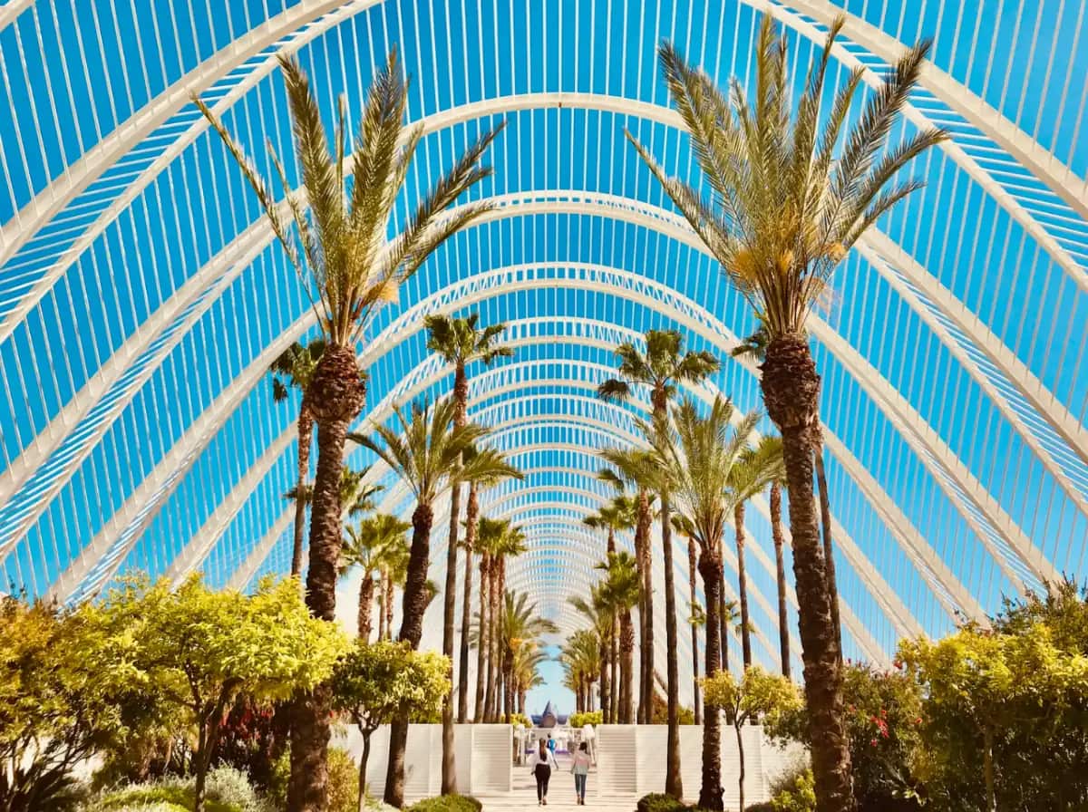 White arched trellis walkway lined with palm trees at Valencia's City of Arts and Sciences, with two people walking beneath it.