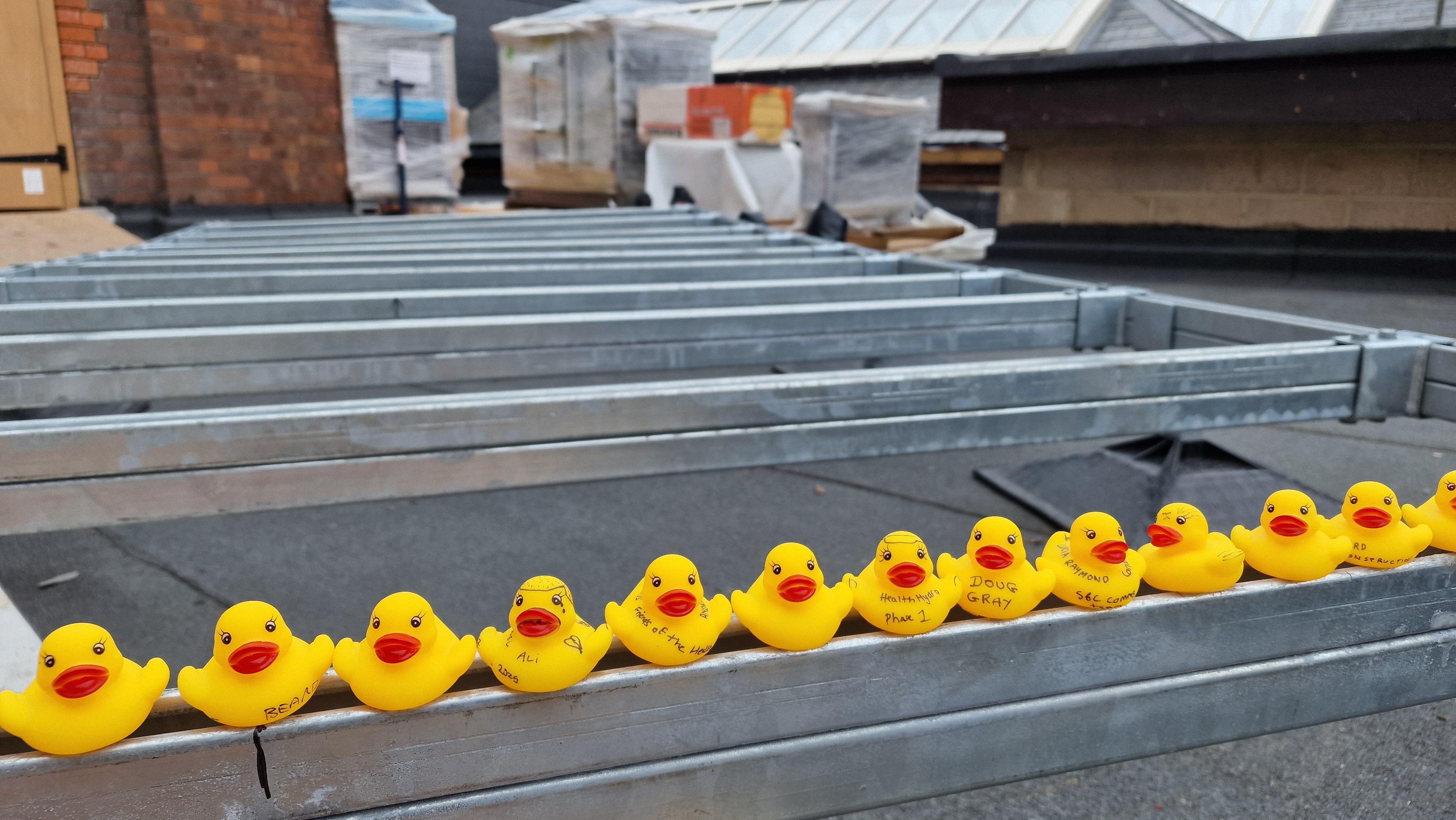Health-Hydro-ducks.jpg