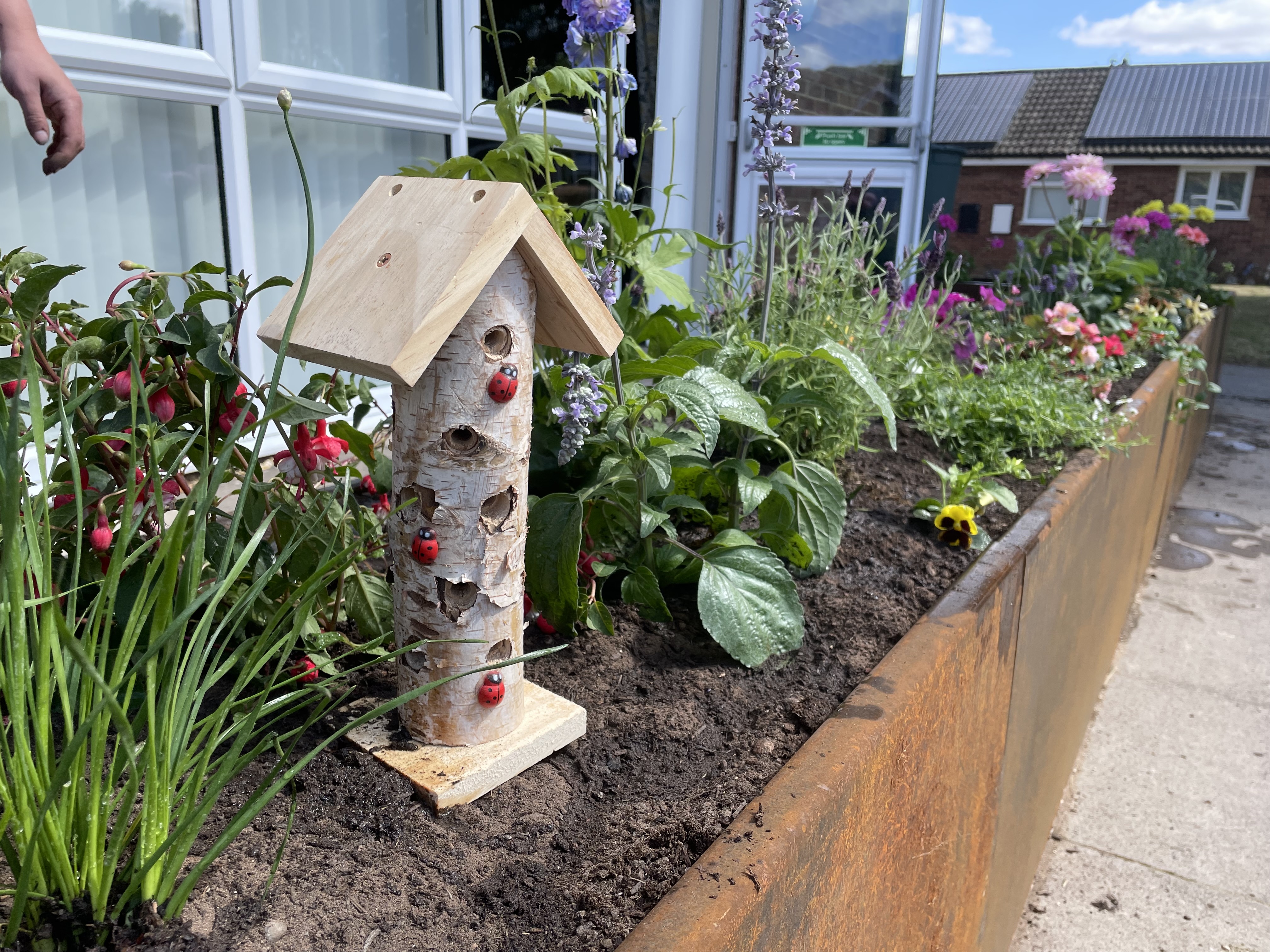Stroud-DC-ladybird-house.jpg