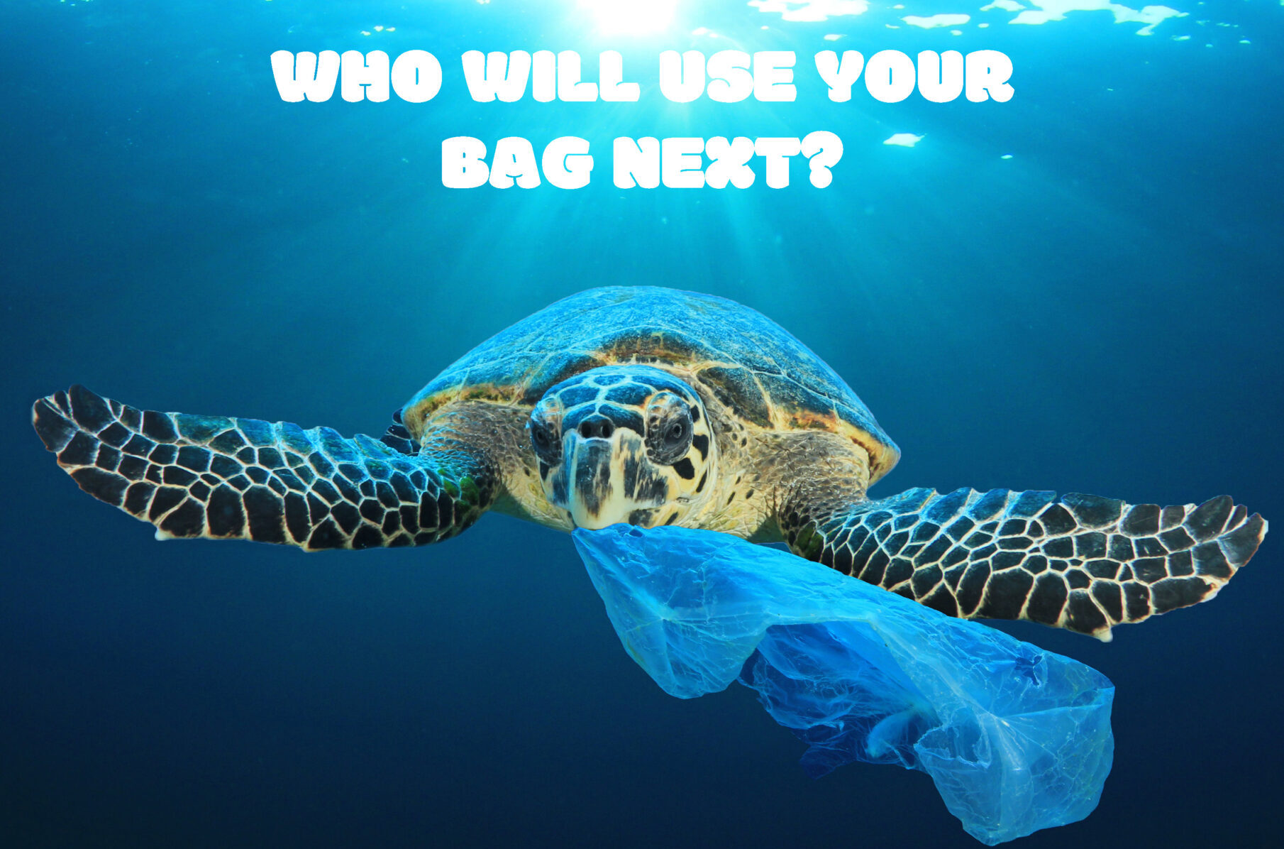 NFRN creates series of posters ahead of 10p carrier bag charge