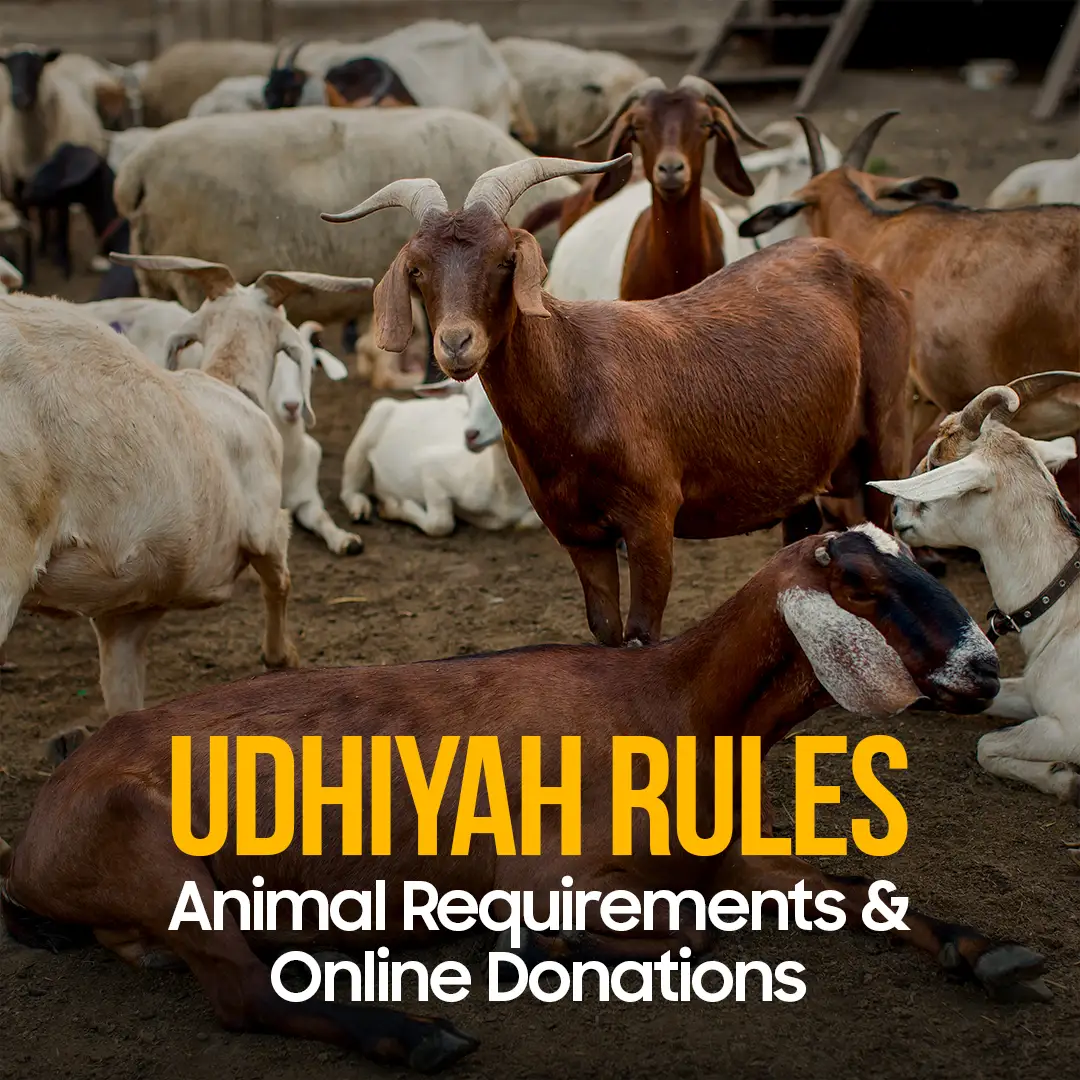 UDHIYAH RULES & REQUIREMENTS
