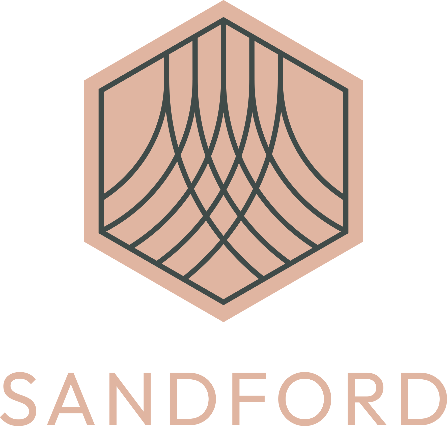 Project Logo