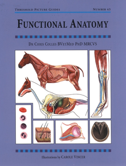 Functional Anatomy (THIS TITLE IS UNAVAILABLE AT THE MOMENT)