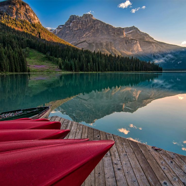 News starting out as a juinor designer split 7