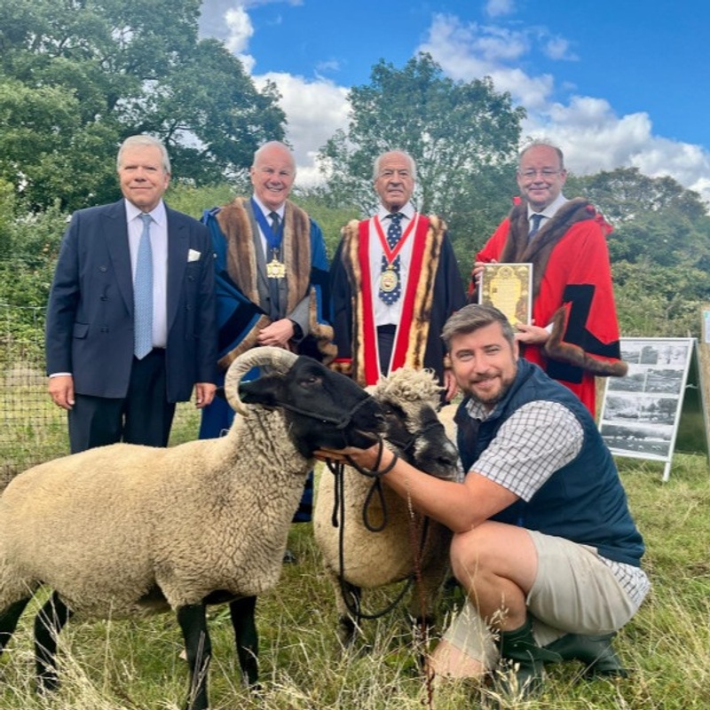 The Master Butcher Attends the Ceremonial Return of Grazing to Hampstead Heath