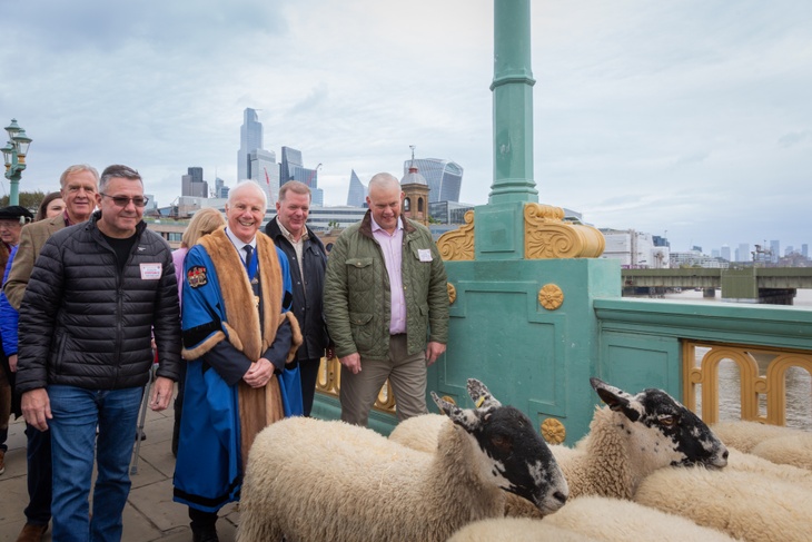 The Master at the Annual Sheep Drive 2025