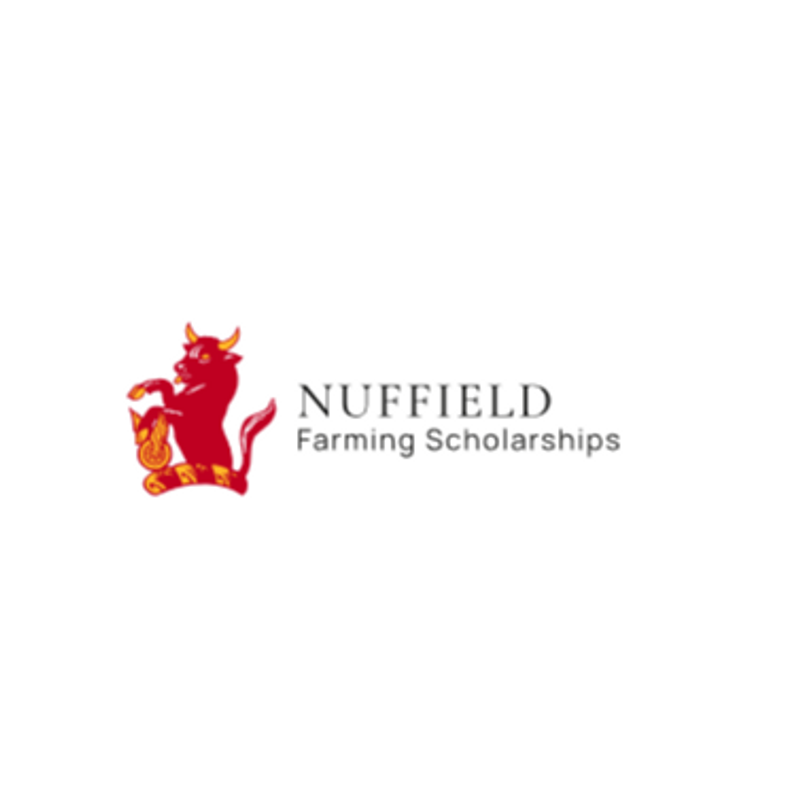 Celebrating WCB Scholars’ Latest Nuffield Reports
