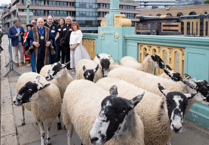 The Master at the Annual Sheep Drive 2026