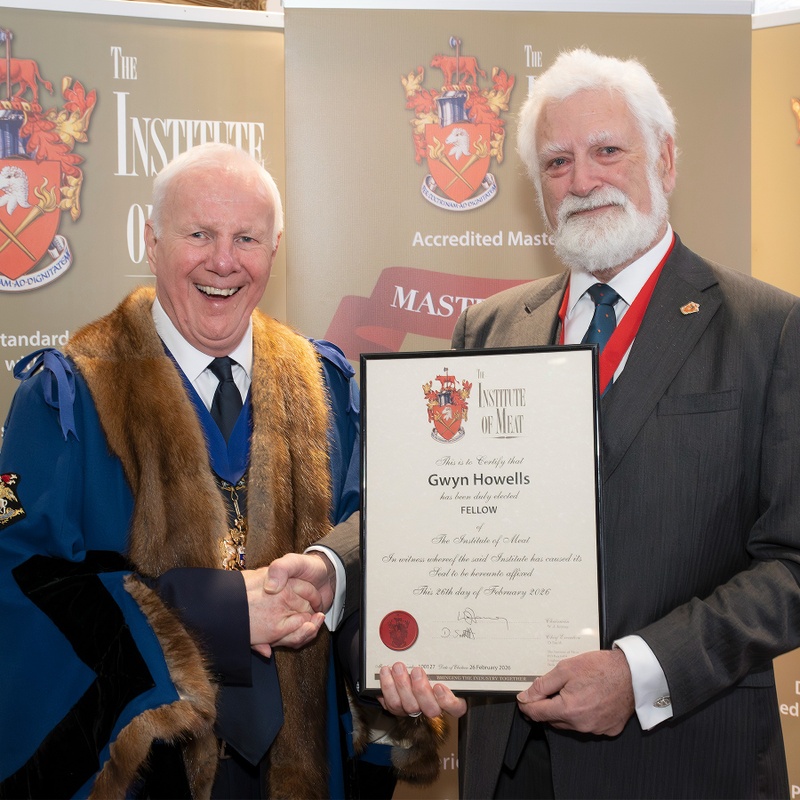 Master's Blog February 2026