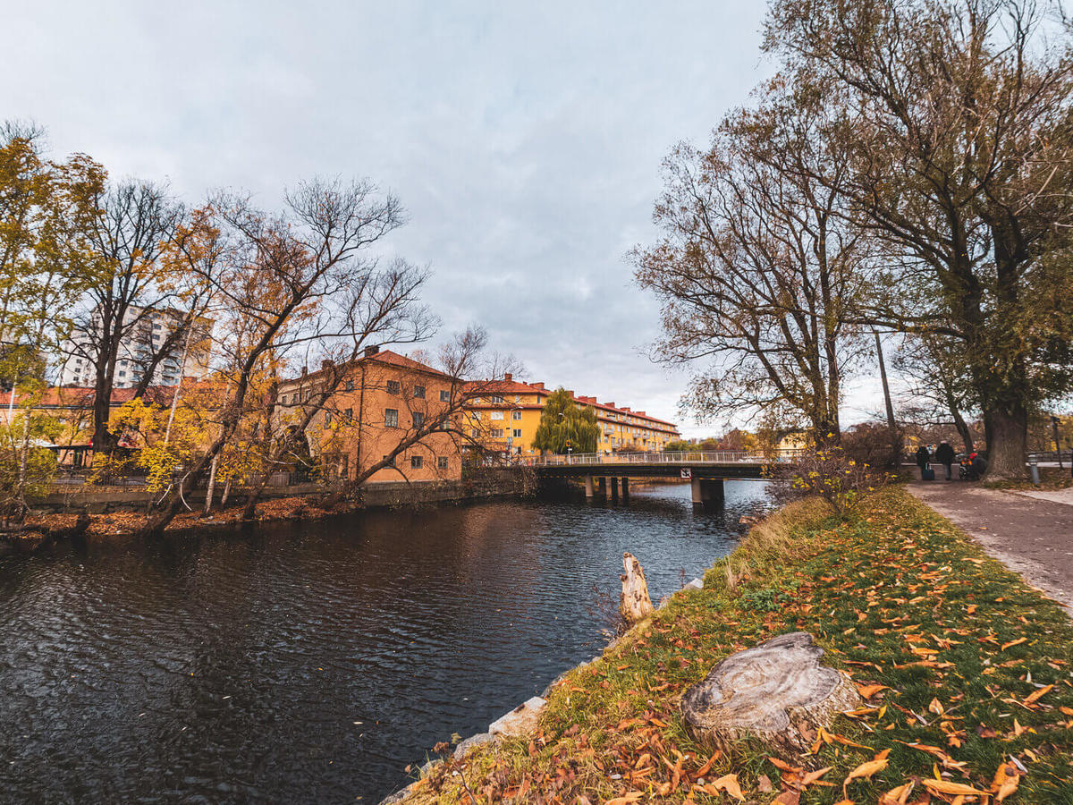 Bild från Hybrida Leksaksbilar AB