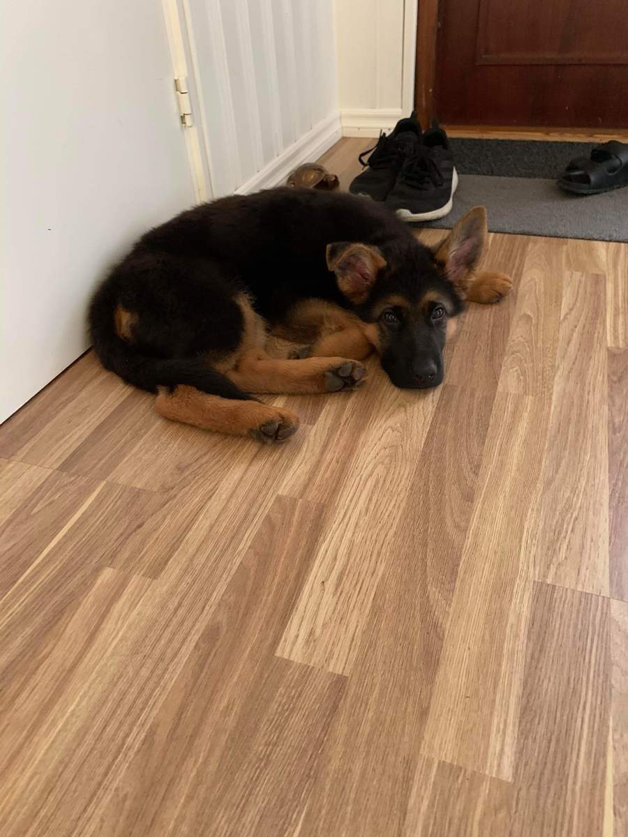 Företagsbild från Arga Snickörn