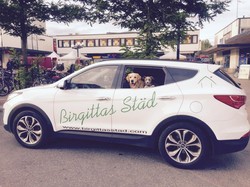 Bild Birgittas Städ i Stockholm AB (Foton Lokalvårdare, Bild Städföretag)