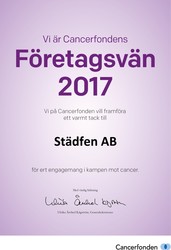 Bild Städfen AB (Foton Lokalvårdare, Bild Städföretag)