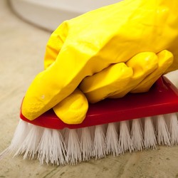 Bild Nova Städ (Foton Lokalvårdare, Bild Städföretag)