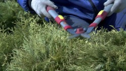 Bild Rent Otroligt (Foton Lokalvårdare, Bild Städföretag)