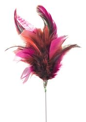 Bild Boleva AB (Foton Lokalvårdare, Bild Städföretag)